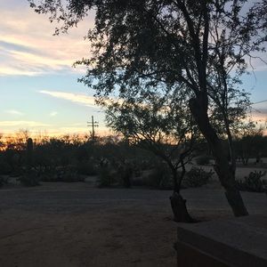 Meet your Posher, Leila